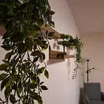 Apartman Parliament View 2br Heart Of Free Minibar Bukarest