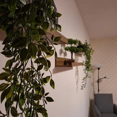 شقة Parliament View 2br Heart Of Free Minibar بوخارست