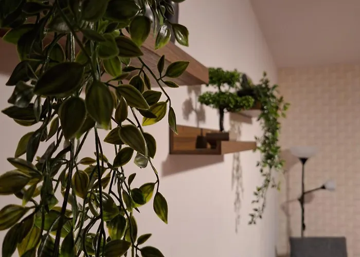 Διαμέρισμα Parliament View 2br Heart Of Free Minibar Βουκουρέστι